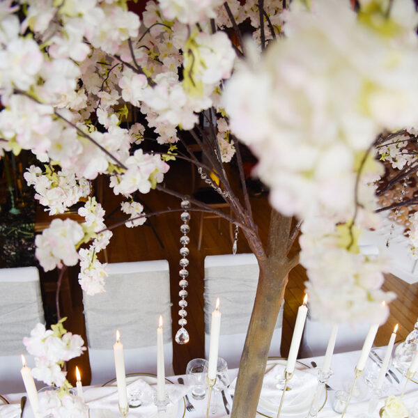 Hanging Cherry Blossom Trees