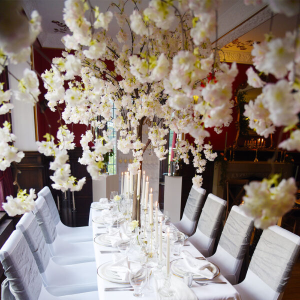 Hanging Cherry Blossom Trees