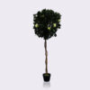 Artificial Wedding Bay Tree
